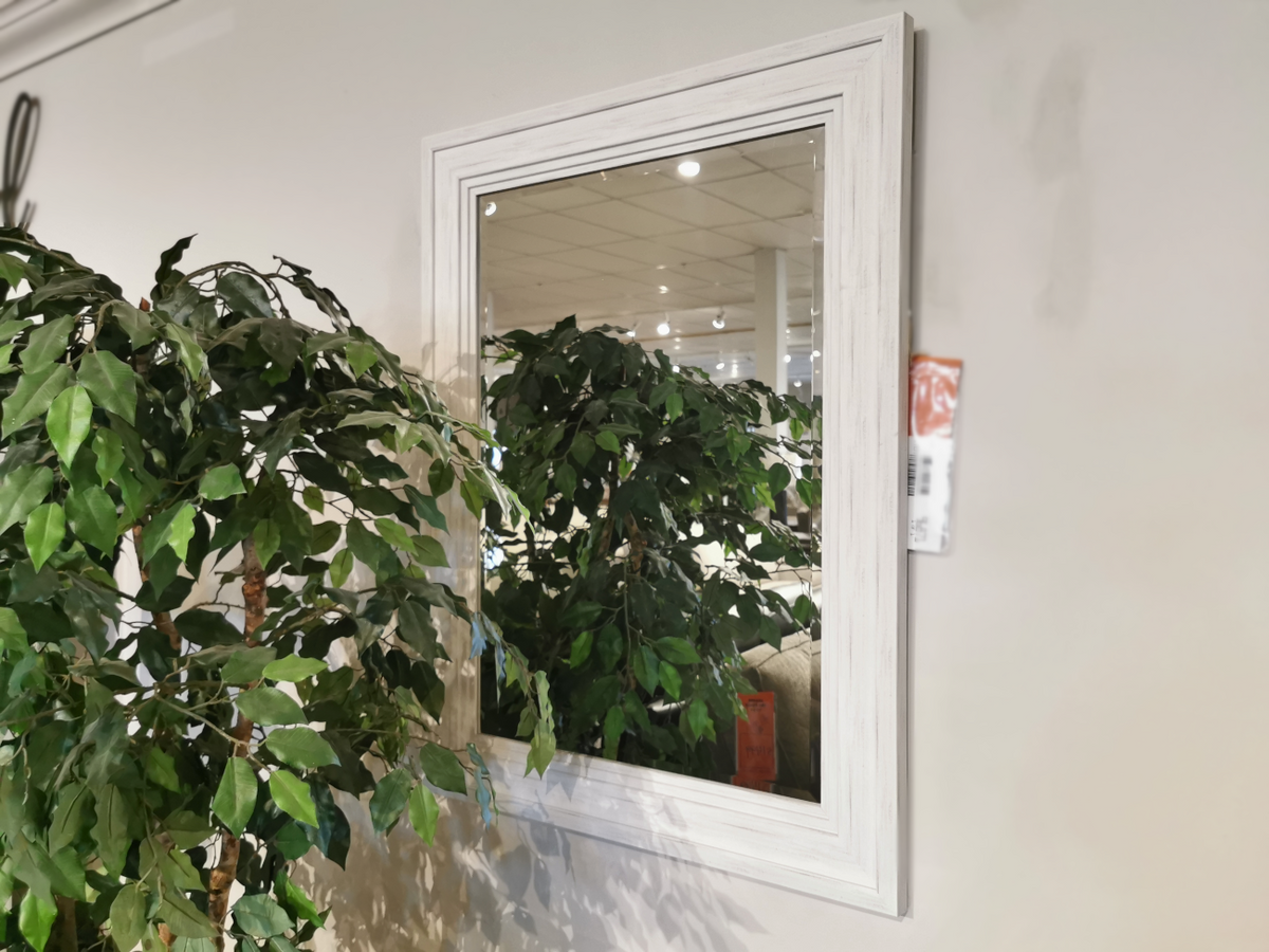 A large potted plant is reflected in the Ashley Jacee Wall Mirror, which features an antique white frame.