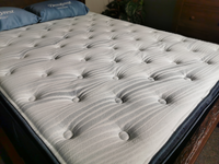 A neatly made bed showcases a Beauty-rest Deepwater Pillow Top Plush Mattress and two blue pillows, set in a room decorated with a wooden dresser and plants.