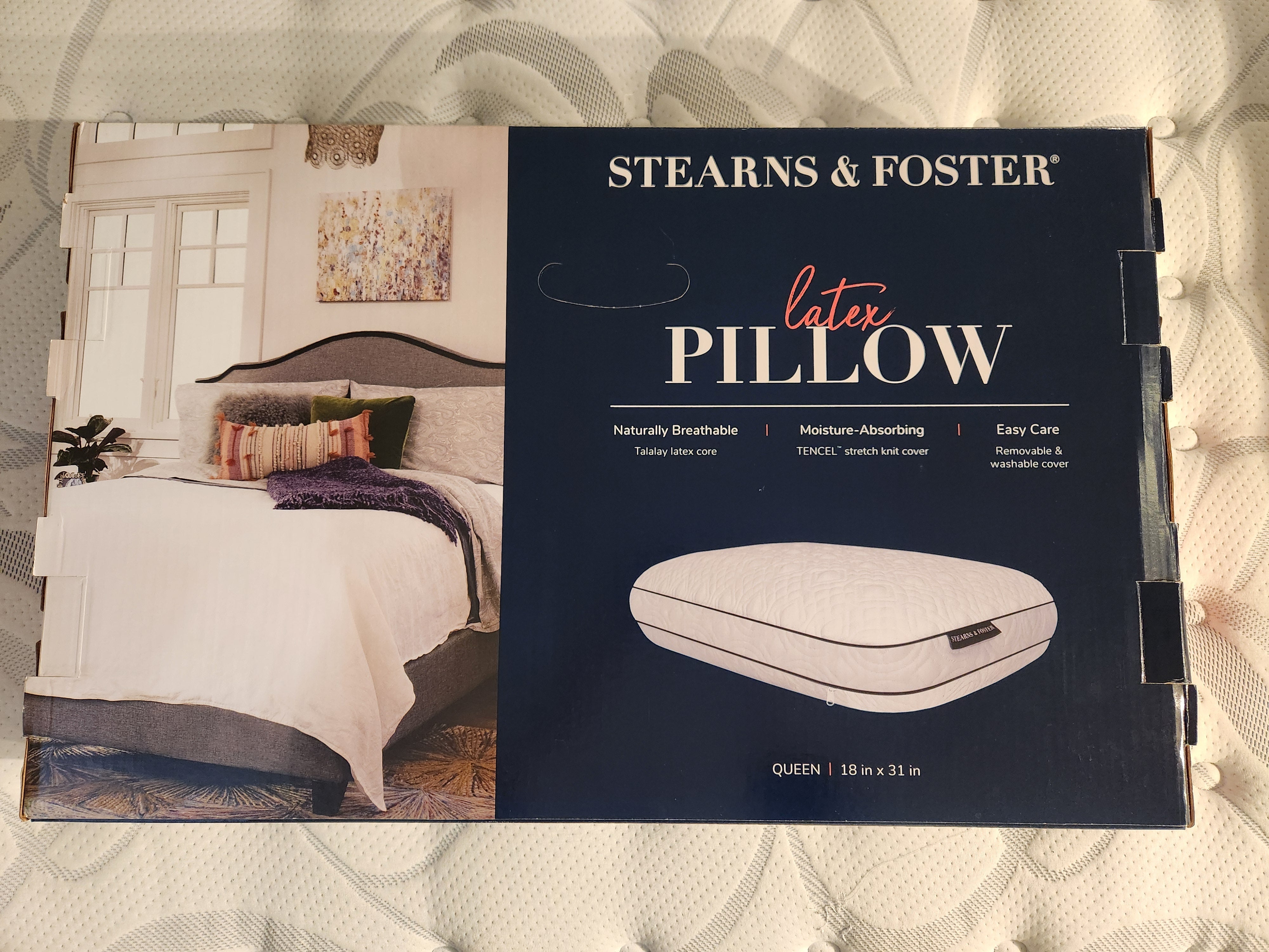 Fashion stearns and foster pillow costco