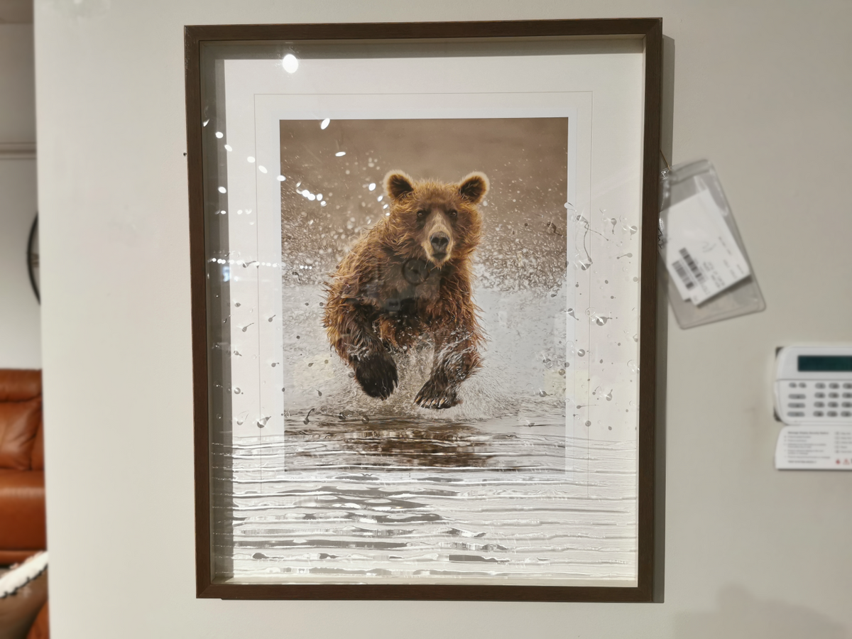 Bear at Play - Framed Photo