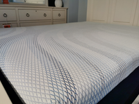 F30LTX Plush Mattress