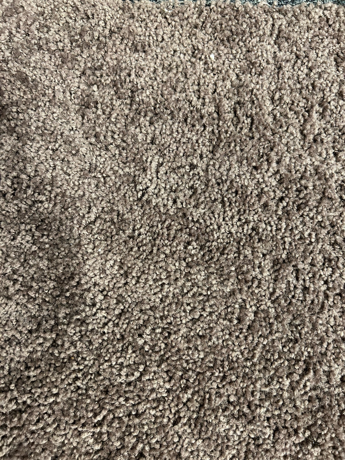 Melmart Formal Carpet